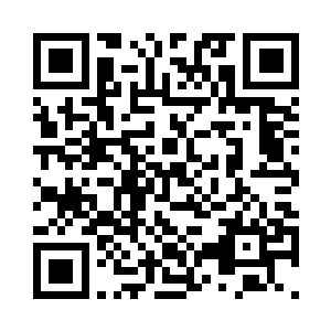 赵小兵和麦兜两个人看着桌面的枪械二维码生成