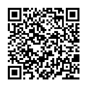 赵小天说的那些雇佣兵和杀手为什么一点动静都没有二维码生成