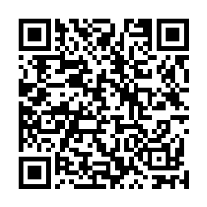 赵小雅如今还在金露啤酒厂担任着人力资源部经理的职位二维码生成