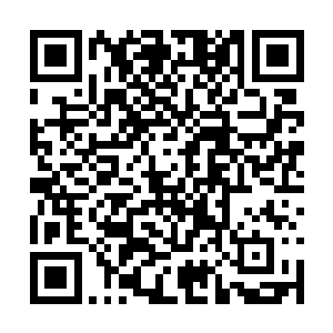 赵峰这个赵峰竟然在我洪湖城无数强者的眼皮底下二维码生成