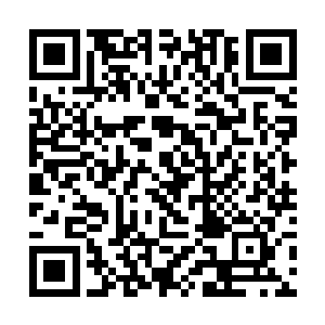 赵庄的乡亲们看到光头刚带着手下的混混亮出了兵器二维码生成