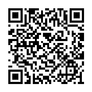 赵庄的父老乡亲祖祖辈辈在土里抛食的多了去了二维码生成