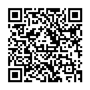 赵府的仆人们早已经准备好了赵虎和九龙卫乘坐的战马二维码生成