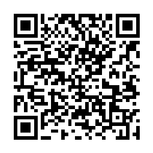 赵怡下来之后就看到叶秋正好在车里面思考着事情二维码生成