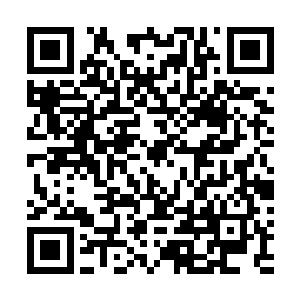 赵振山到了医院后就秘密安排人给他和赵龙做了亲子鉴定二维码生成