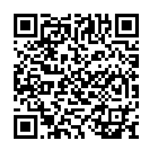 赵旉和赵延年却被浪里格奉云峥的命令给带走了二维码生成