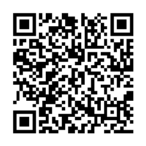 赵旭一脸黑线的看着比自己矮了一个脑袋的小不点二维码生成