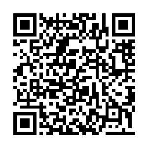 赵旭摆弄着代表兵力的小泥人兴奋的快要疯掉了二维码生成