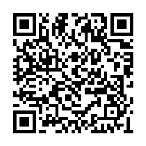 赵明最终还是将视线看向了队伍里面最高的飞阳二维码生成