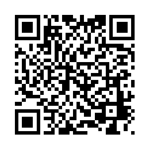 赵析私底下也曾找了自家医官看过二维码生成