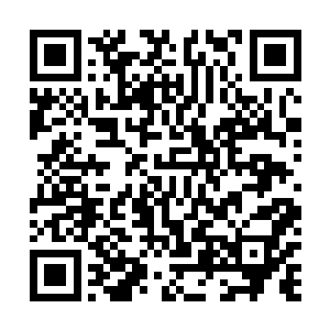 赵永生等一众东南军区的参赛者们却是幸福得快要发疯了二维码生成