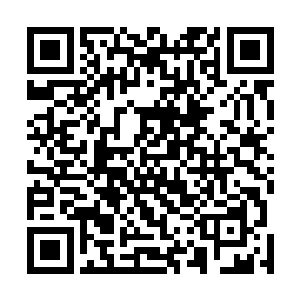 赵炳武眼神一直在这个手里拎着刀子的二侄子身上转悠呢二维码生成