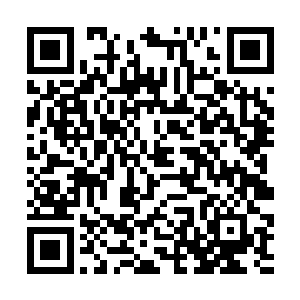 赵然和高琴也就是承受不住来自县里各方的反对压力二维码生成