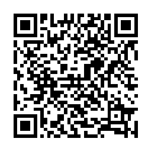 赵祯没有找到那些让他头疼不已的蛮人寇边的文书二维码生成