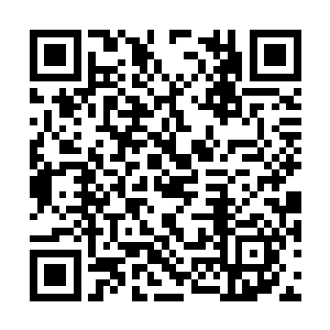 赵纯良之前对破晓里的那三株天株并没有什么兴趣二维码生成