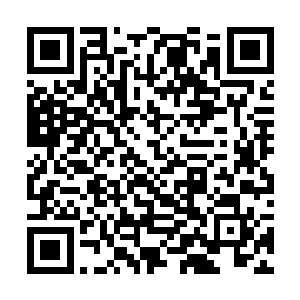 赵纯良也想泡菜国的这些棒子赶紧滚回他们的国家去二维码生成