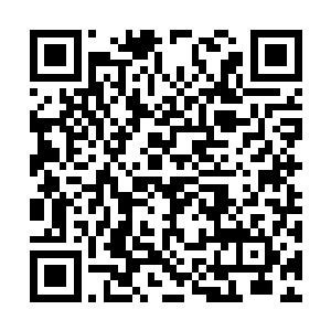 赵纯良伸出手　轻轻的抚摸　了一下伊莎贝拉的脸二维码生成