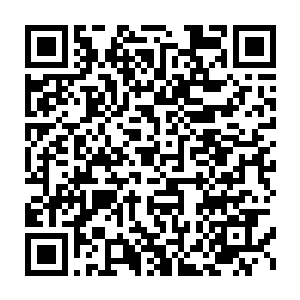 赵纯良似乎躲闪不及　被这重拳直接轰在了脸上　重重的摔倒在了地上二维码生成