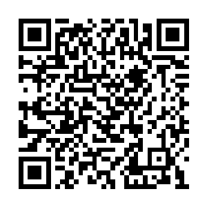 赵纯良先是从小包裹里拿出一根中等大小的银针二维码生成