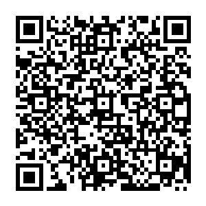 赵纯良可不知道桑巴国有这么多的道道　他扶着女王　走到了已经重新安装好的王座前头二维码生成