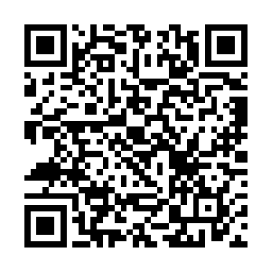 赵纯良和赵建宇父子俩在饭桌上喝了足足一坛的白酒二维码生成