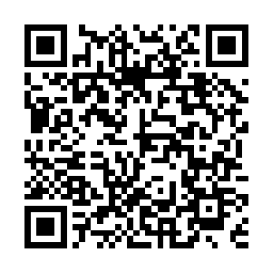 赵纯良在回到佣兵之城后　就知道了麦基受伤的消息二维码生成