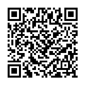 赵纯良在达芬奇进门后环顾了一下在场的其他人二维码生成