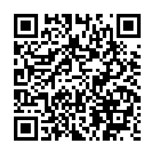 赵纯良将主要的热量和血液都供应到了大脑和心脏的位置二维码生成