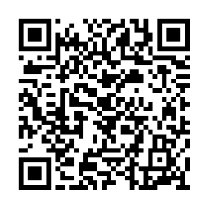 赵纯良就如同是被羽毛球拍给打中的羽毛球一样二维码生成