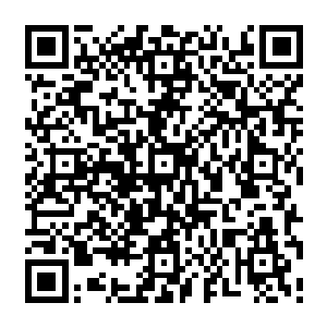 赵纯良并没有按照一般故事的尿性骗骗林晓夕然后让林晓夕产生什么矛盾猜疑啥的二维码生成