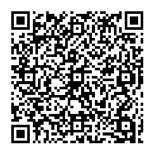 赵纯良怒吼一声 小腿肌肉猛的收缩 就好像一个被压到了极致的弹簧一样 而后又突然放开二维码生成