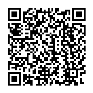 赵纯良惊恐的看着好似要虚脱了的泽梅尔和精神犯法春风得意的艾尼莎二维码生成