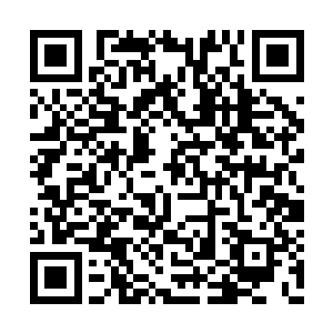 赵纯良指着一个占地大概一千平米左右的大房子二维码生成