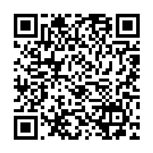 赵纯良点了点头　突然看到泽梅尔身后又走出來了一个人二维码生成