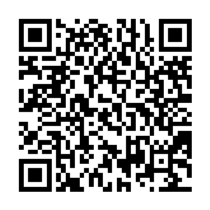 赵纯良甚至于还看到了其中一个人体表隐约泛出的白光二维码生成
