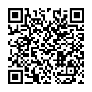 赵纯良的脸上带着一种若有若无的平淡雍容的笑容二维码生成