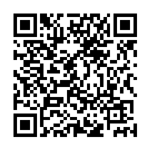 赵纯良眼珠子的看着雷电巨人被欧逊给撕成了无数的碎块二维码生成