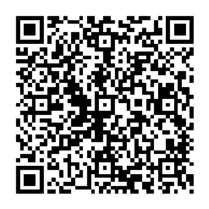 赵纯良突然间想起來　整个桑巴国的王室直属血脉　好像　就只剩下了伊莎贝拉一个人二维码生成