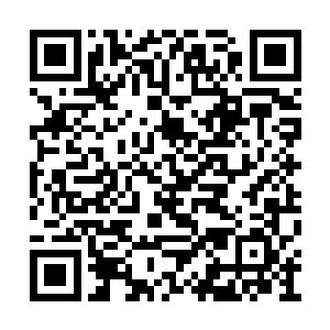 赵纯良自然知道伊莎贝拉所谓的不妥是什么意思二维码生成