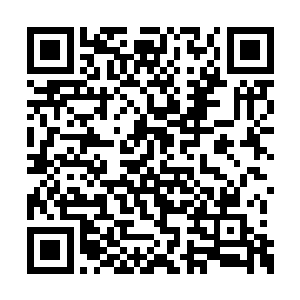 赵纯良觉得从此以后他的人生标签应该打上一个二维码生成