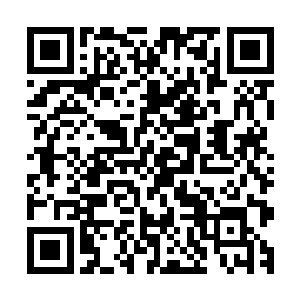 赵纯良除了第一天来的时候去找苏夜夜等人打了一次麻将之外二维码生成