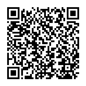 赵老太太没想到赵长卿会用这样迂回的法子将整个准备果子的差使要到手里二维码生成