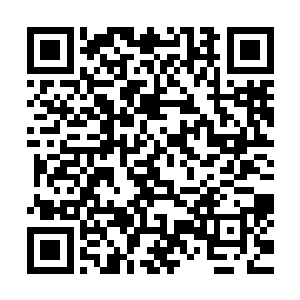 赵老师和九天会那个老大好像都被带进旁边的审讯室问话去了二维码生成