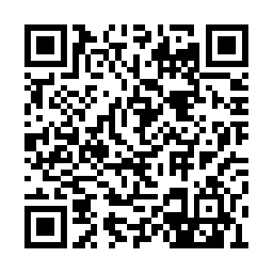 赵艳萍看她手里的帕子早已经被她拧的不成样子二维码生成