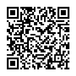 赵若敏似乎很了解祖龙作为远古恐怖大神的力量二维码生成