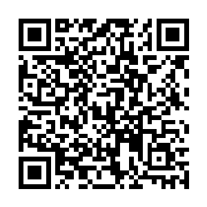 赵莫寒看到有一个白面人跟着莽大人冲进金属飞船二维码生成