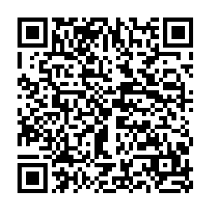 赵虎一行的两千精锐部队迅速的开始在那片区域进行着工事的修筑二维码生成