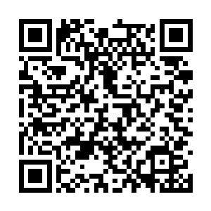 赵虎从空间戒指当中取出一枚火焰果和一枚寒冰果二维码生成