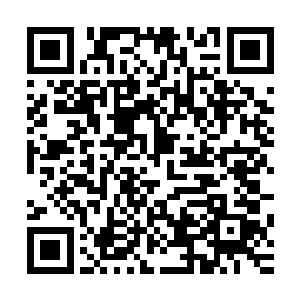 赵虎便下令对清风镇中央广场附近千米范围进行覆盖性的炮击二维码生成