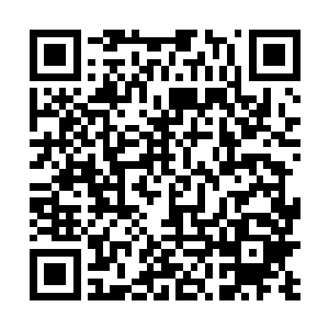 赵虎便缓步向着那颗被自己腰斩的参天大树方向走去了二维码生成